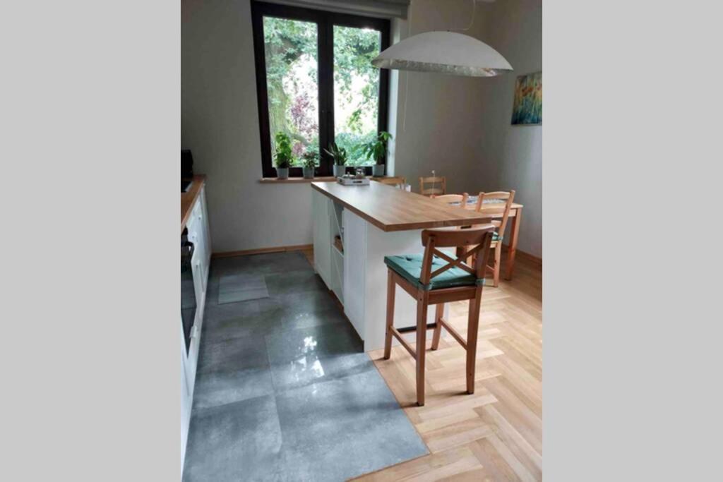 Apartmán Hidden Gem Garden Krakov Exteriér fotografie