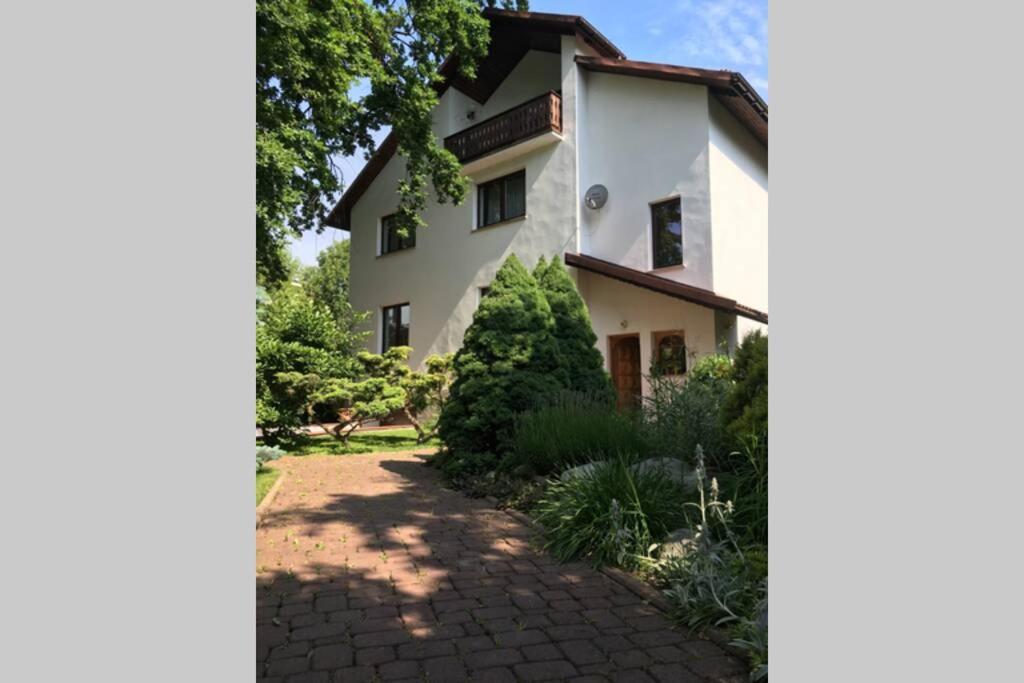 Apartmán Hidden Gem Garden Krakov Exteriér fotografie